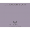 Kleuren Pure en Original Lavender Bush